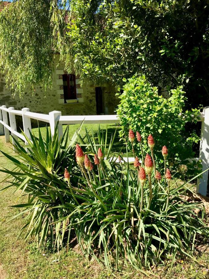Gite De L'Homme Blanc Soizy-aux-Bois Exterior foto